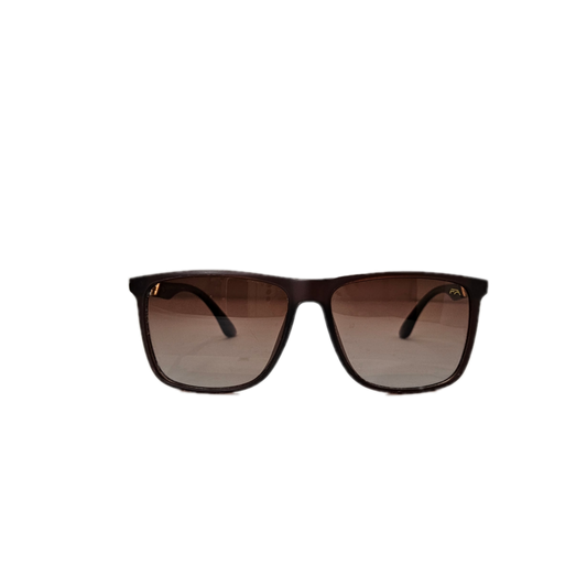 Brown sunglasses with golden detail