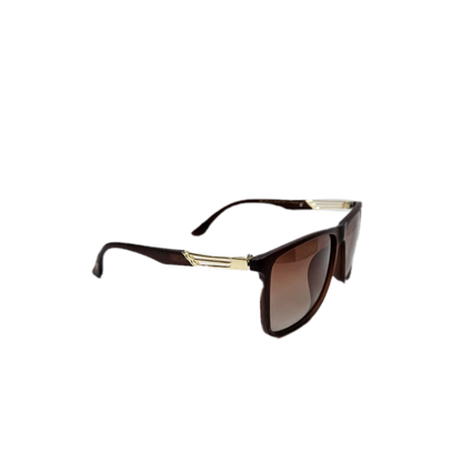 Brown sunglasses with golden detail