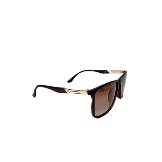 Brown sunglasses with golden detail