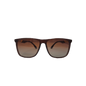 Brown sunglass